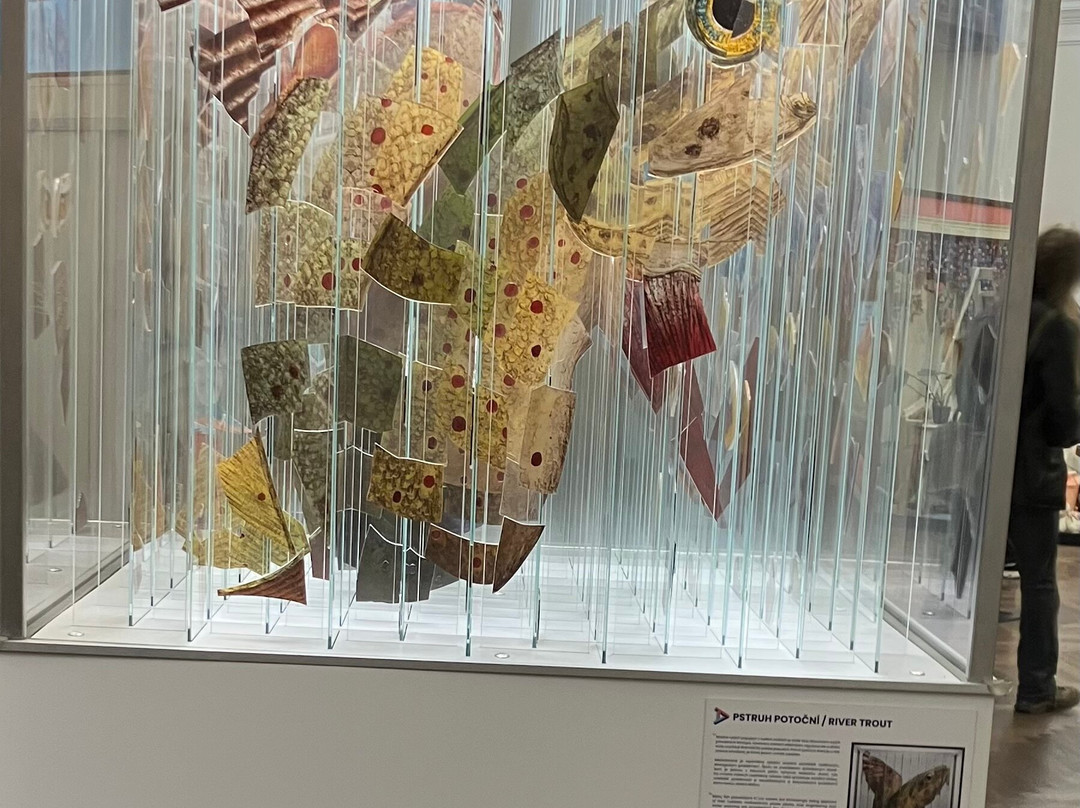 Illusion Art Museum Prague-布拉格必去景点
