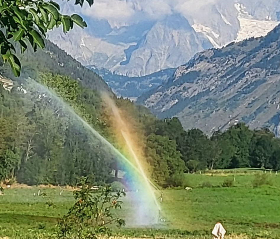 Vista Monte Bianco