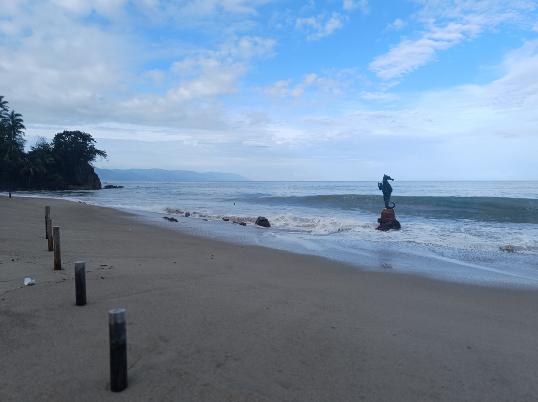 Playa de los Muertos-瓦拉塔港必去景点