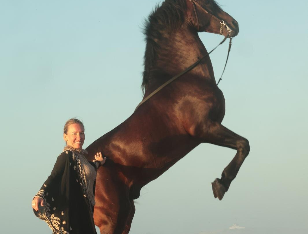 Cheval Essaouira-索维拉必去景点