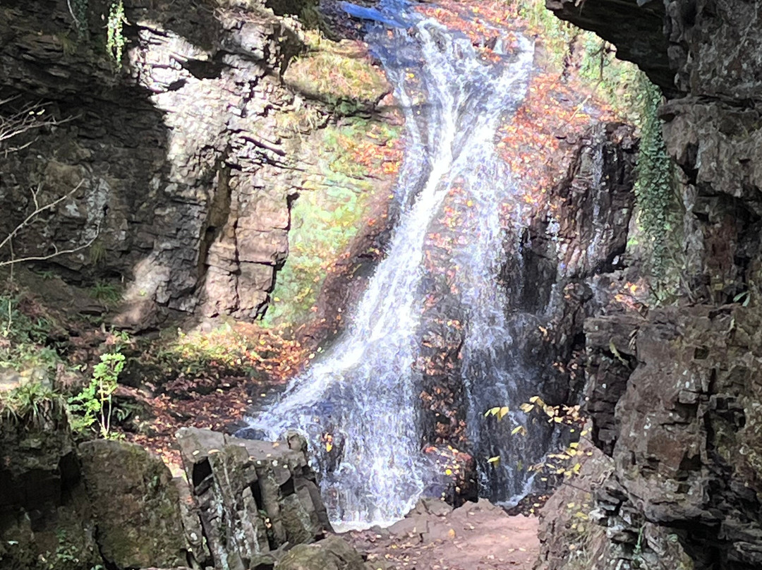 Hareshaw Linn Walk-Bellingham必去景点