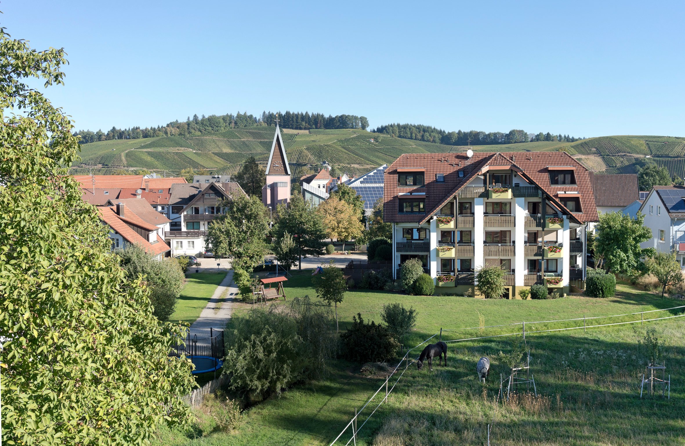 Hirschenstube Gastehaus Gehri-官方