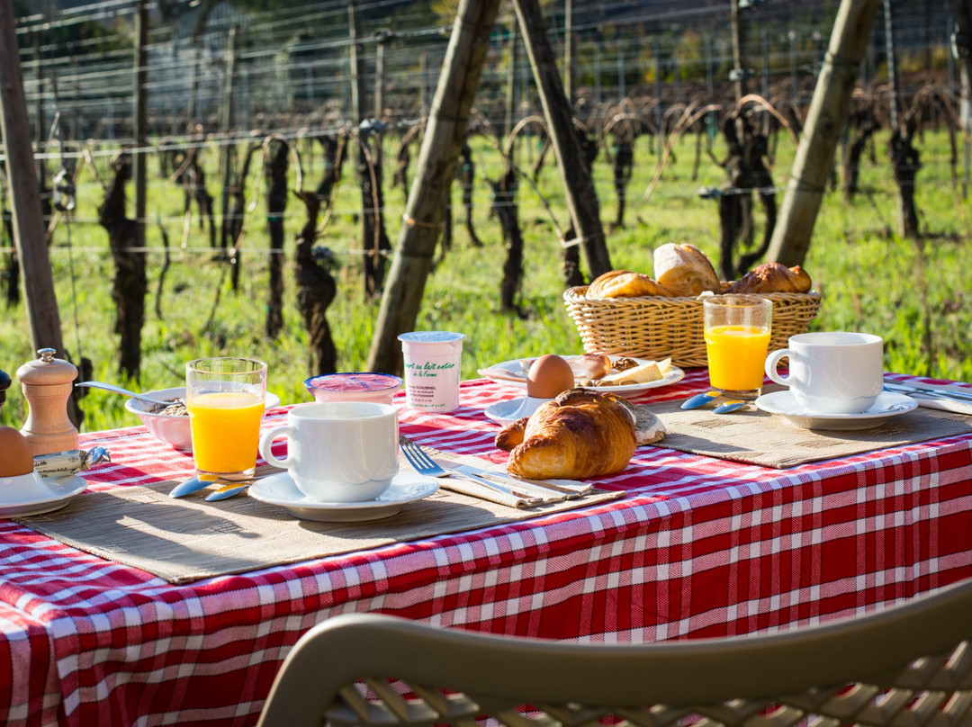 James Vignoble Hôtel主图