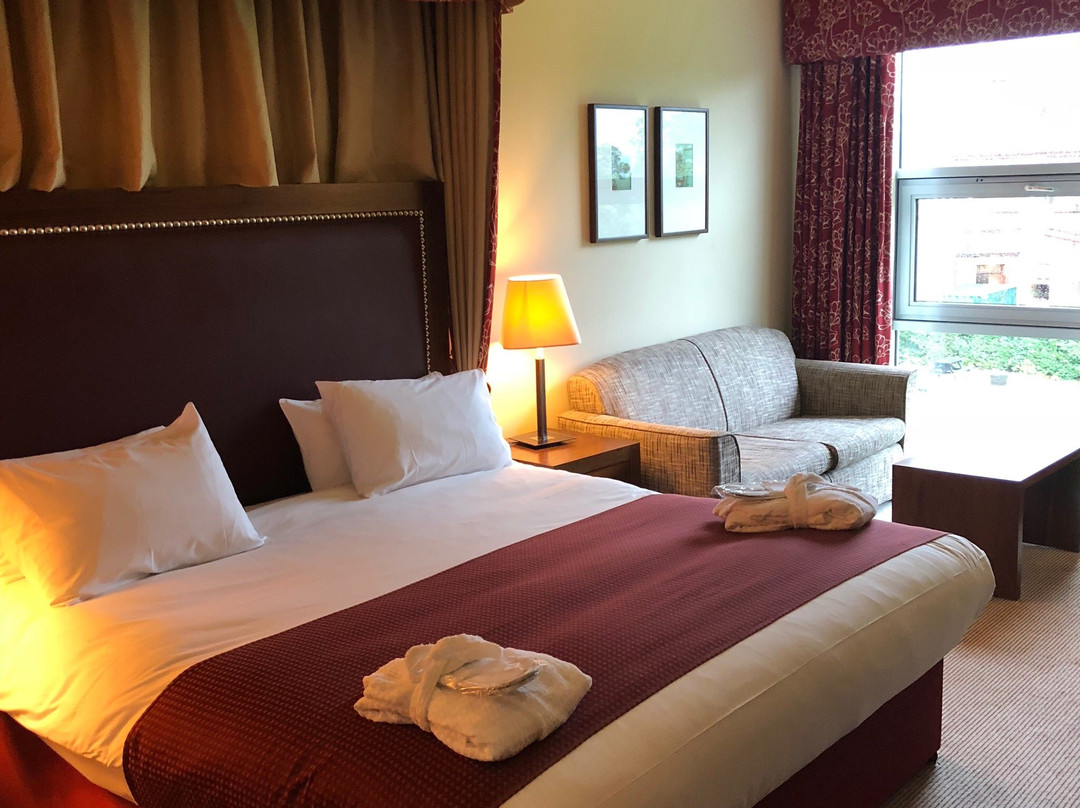 阿斯顿敦夫里斯酒店主图