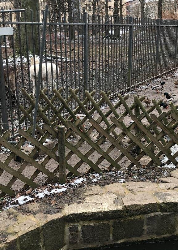 Animal enclosure at the Schwanenteich