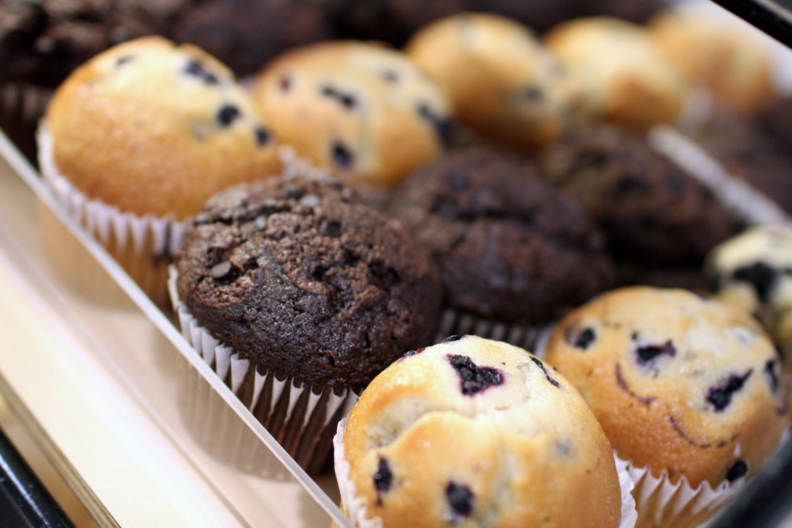 Holiday Inn Express & Suites Ft. Washington - Philadelphia By IHG-官方