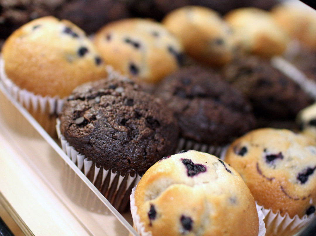 Holiday Inn Express & Suites Ft. Washington - Philadelphia By IHG主图