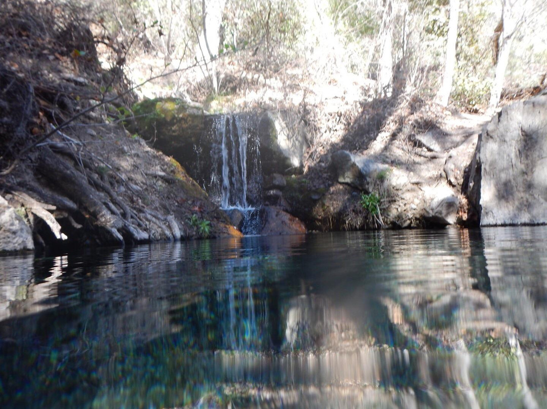 Gila Wilderness Area景点图片