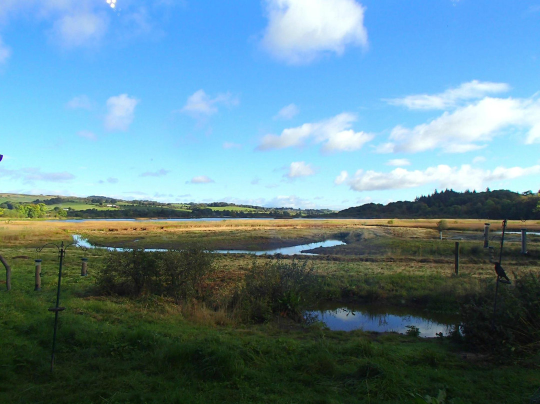 RSPB Lochwinnoch Nature Reserve景点图片