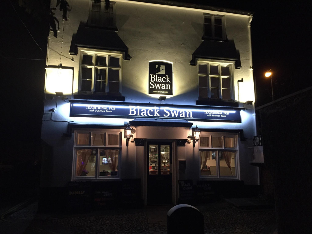 Black Swan Pub Theatre景点图片
