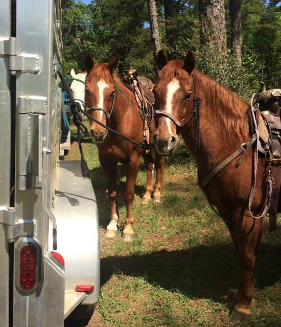 Rockin N Stables-塔拉哈西必去景点