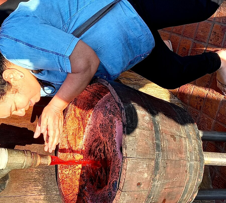 Vinícola Canguera-Sao Roque必去景点