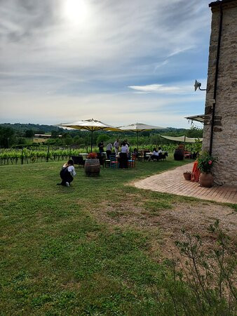 Azienda Vitivinicola Pileum-Piglio必去景点