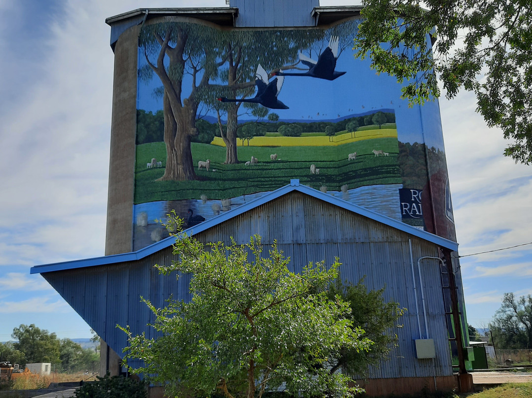 Silo Art Dunedoo-Dunedoo必去景点