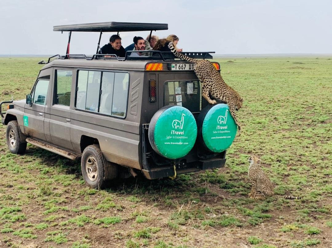 iTravel Safari & Expeditions-阿鲁沙必去景点