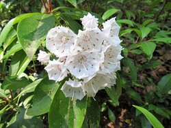 Brendan T. Byrne State Forest-New Lisbon必去景点