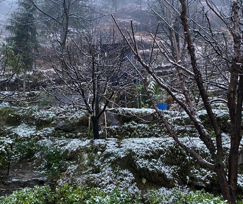 Autumnred Cottage Manali主图