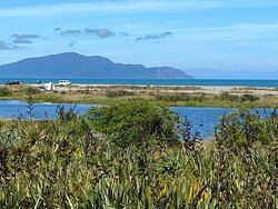 Otaki River Walks景点图片