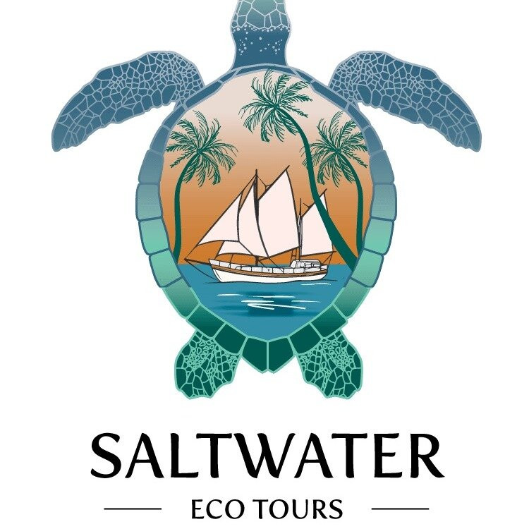 Saltwater Eco Tours-穆鲁拉巴必去景点