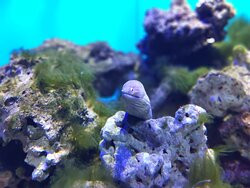 Sevastopol Aquarium-塞瓦斯托波尔必去景点