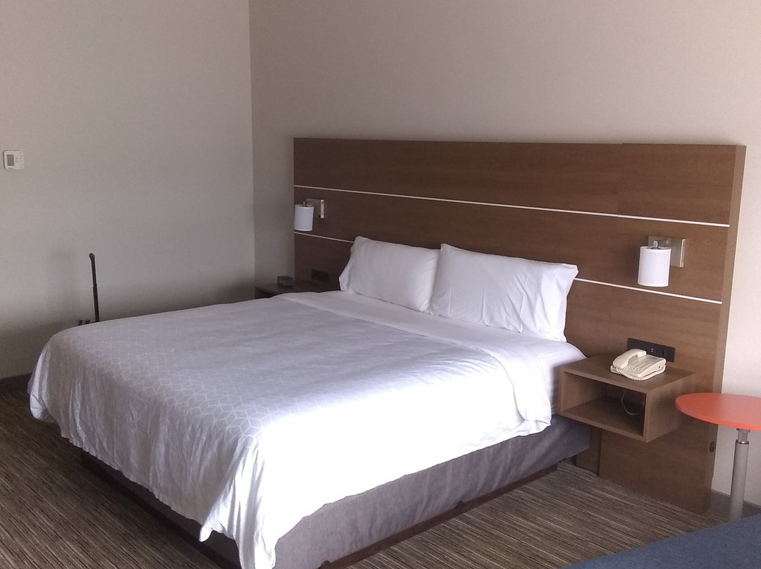 渥太华机场智选假日套房酒店主图