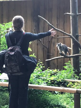 Tierpark Kunsterspring-Neuruppin必去景点