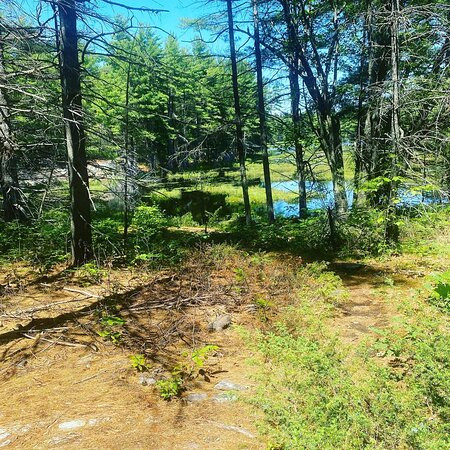 Hardy Lake Provincial Park景点图片