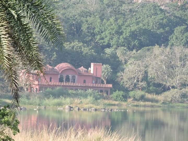 Royal Tiger Safari景点图片