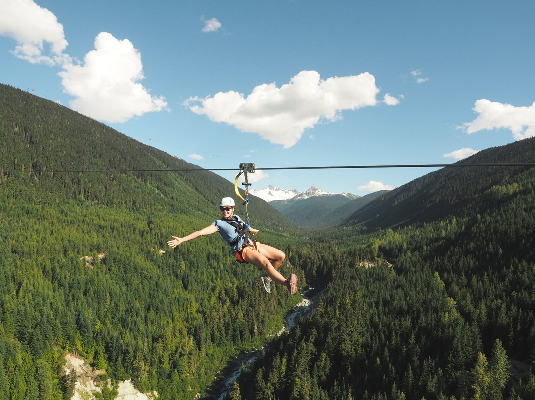 Ziptrek Ecotours景点图片