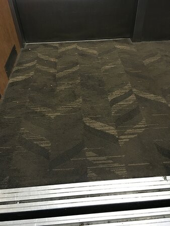 Homewood Suites by Hilton Lexington-Hamburg主图