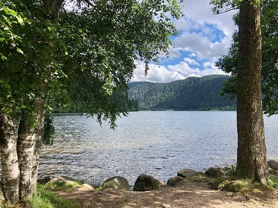Lac de Longemer景点图片