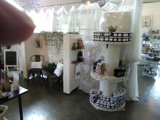 New Life Lavender Farm-巴拉布必去景点