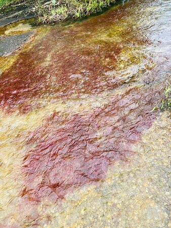 Cano Piedra-La Macarena必去景点