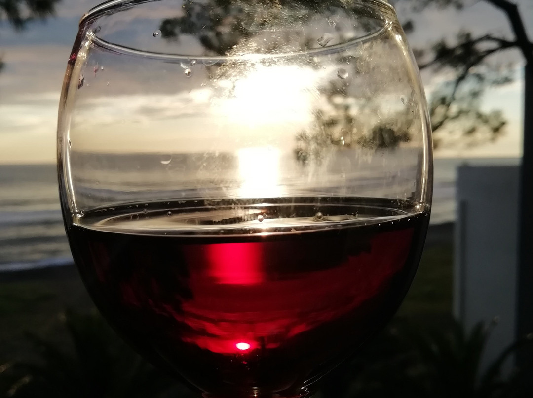 Shekvetili Green House