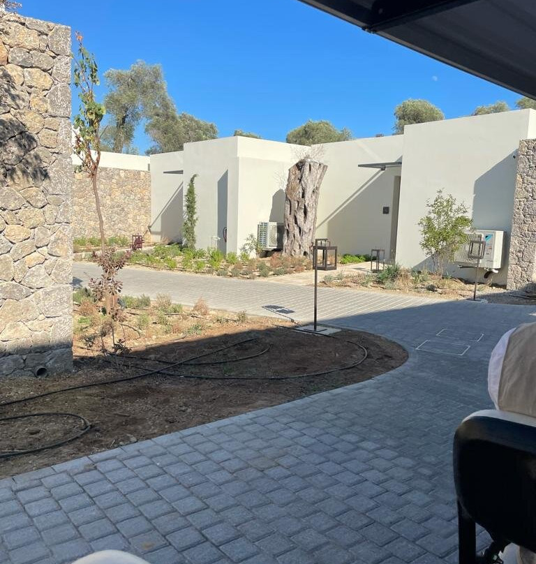 The Olivar Suites主图