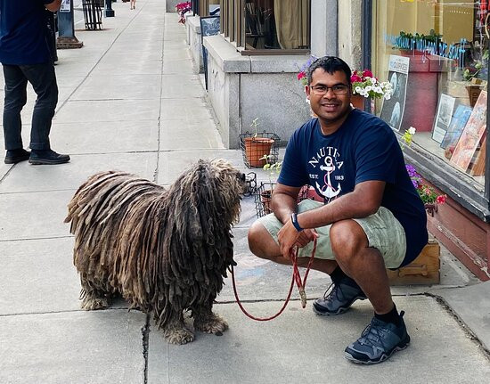 The Quirky Pet-蒙彼利埃必去景点