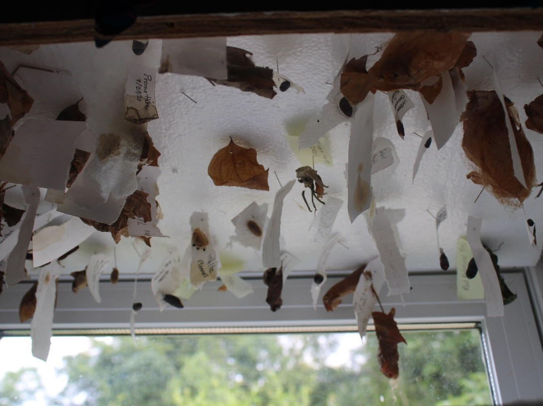 Butterfly Ridge Conservation Center-Rockbridge必去景点