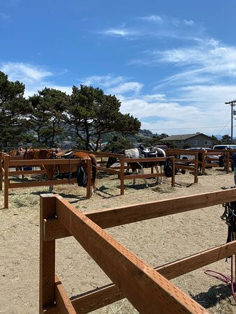Green Acres Beach & Trail Rides-太平洋城必去景点
