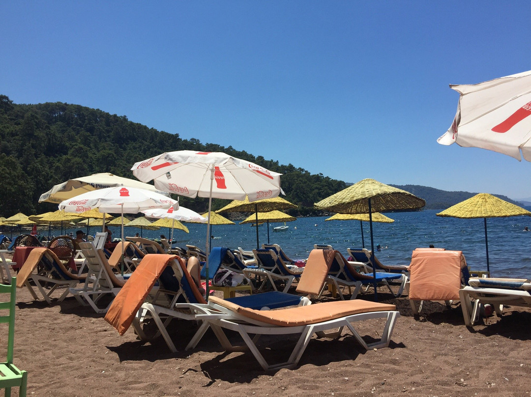Erine Beach Club
