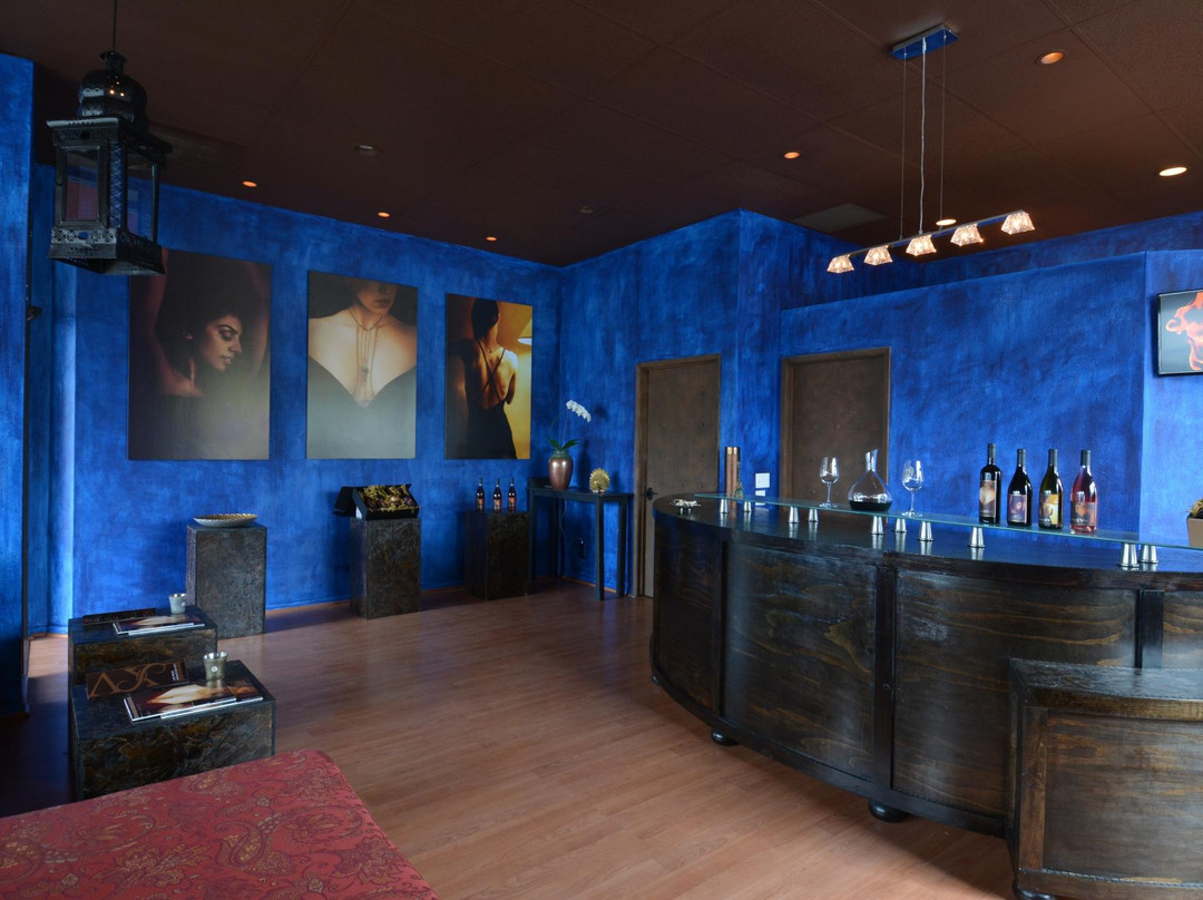 LXV Downtown Wine Tasting Room-帕索罗布尔斯必去景点