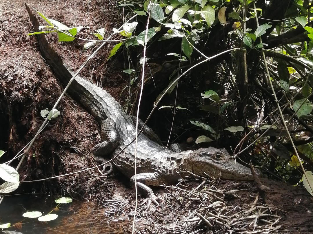 DON CHICO TOURS-托图杰多必去景点