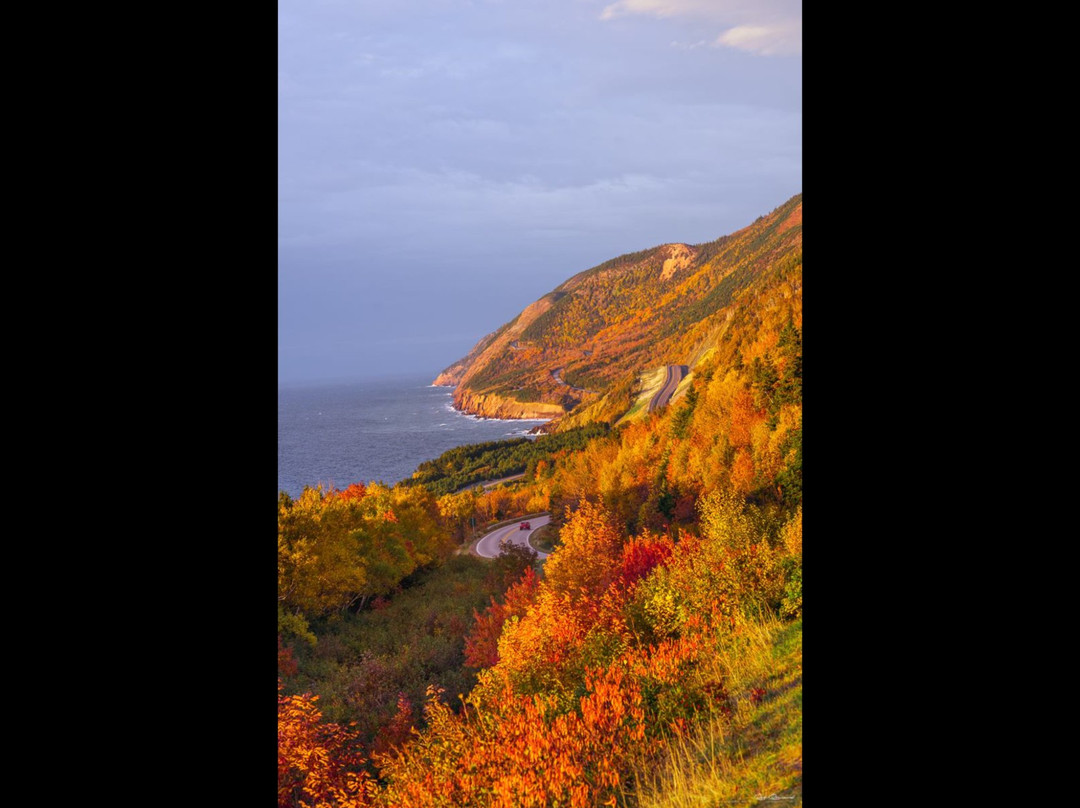 The Poplar B&B主图