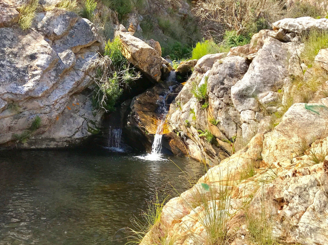 Oudemuragie Guest Farm主图