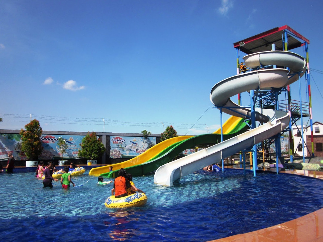 Aquatics Pool and Water Park景点图片