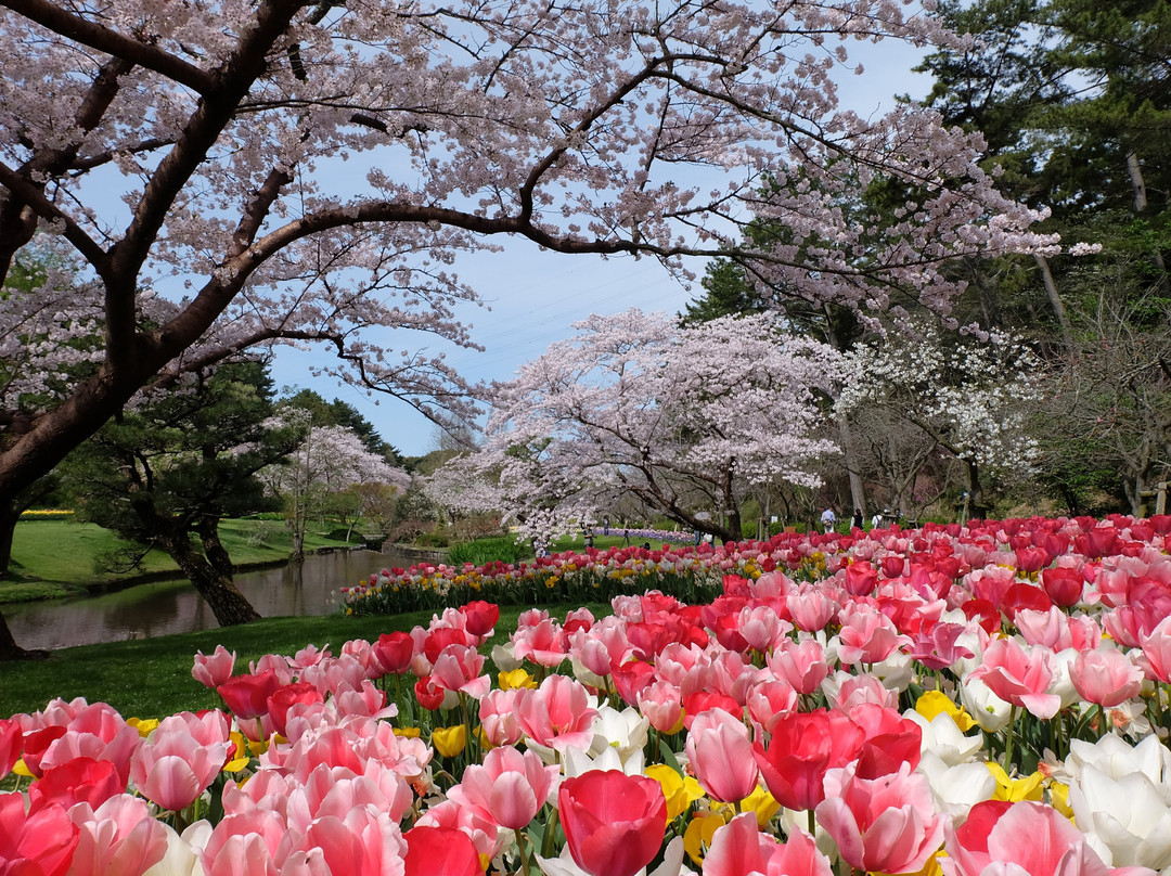 Hamamatsu Flower Park景点图片