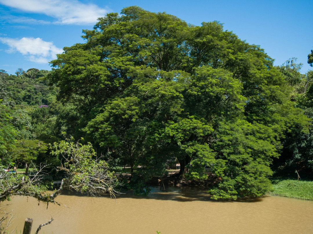 Angico Hotel Fazenda