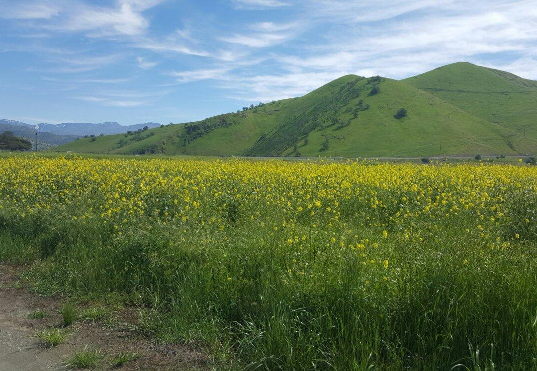 California Hot Springs旅游攻略图片