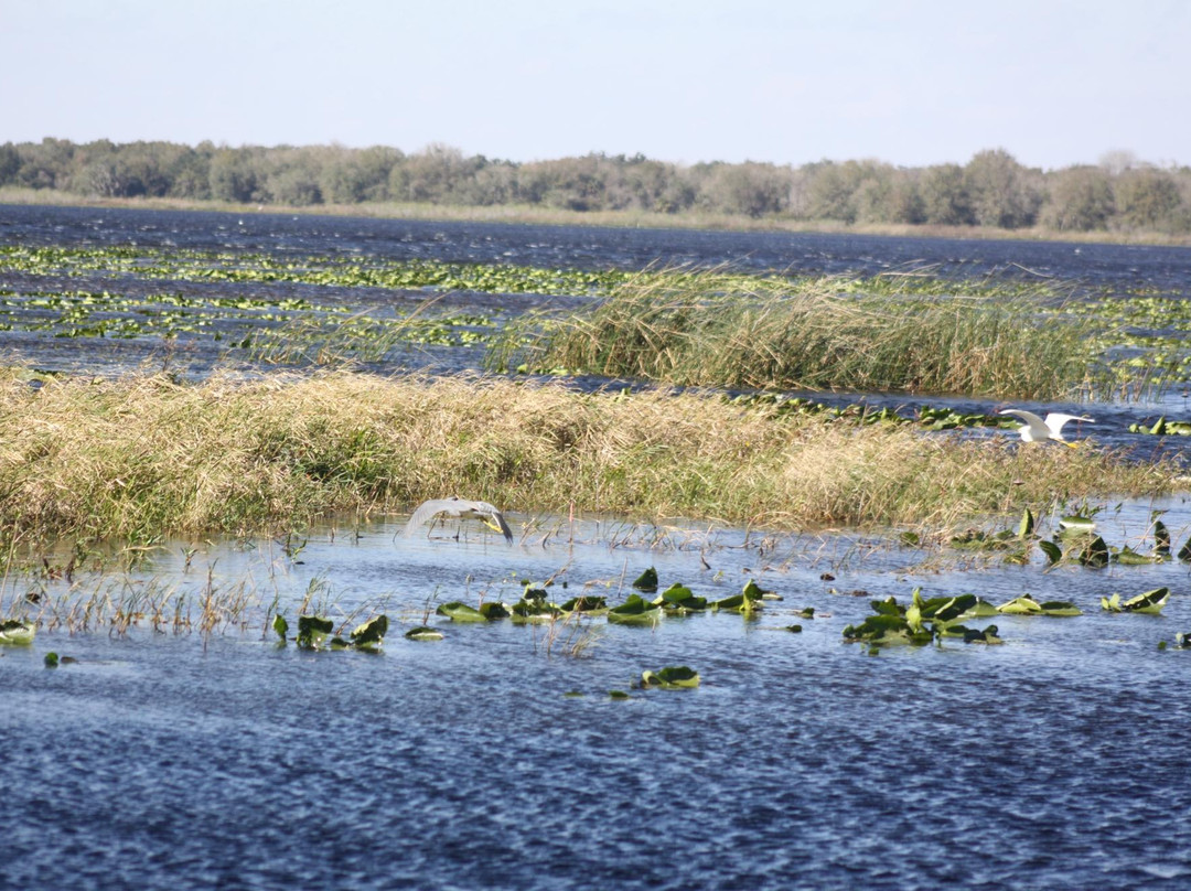 Three Lakes Wildlife Management Area景点图片