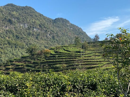 英德茶叶世界-英德市必去景点