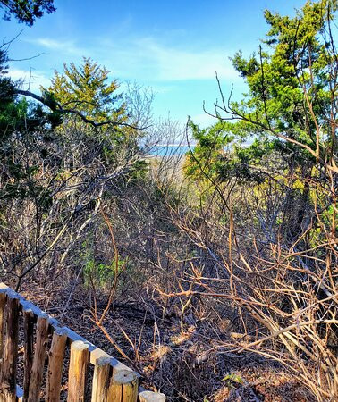 Dogwood Canyon Audubon Center at Cedar Hill-Cedar Hill必去景点